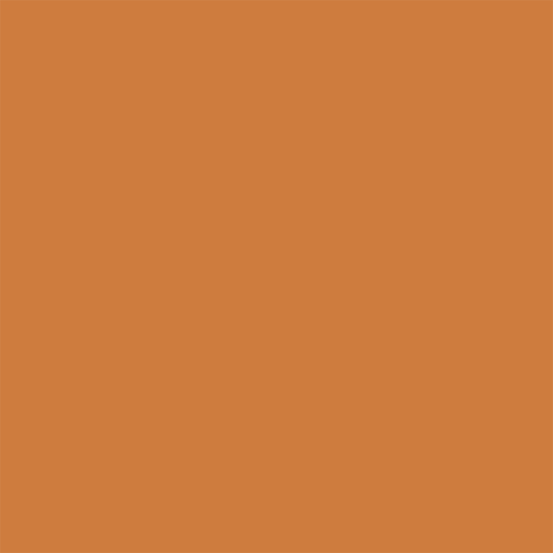 Colour swatch – Roasted Clay (#CE7D3E)