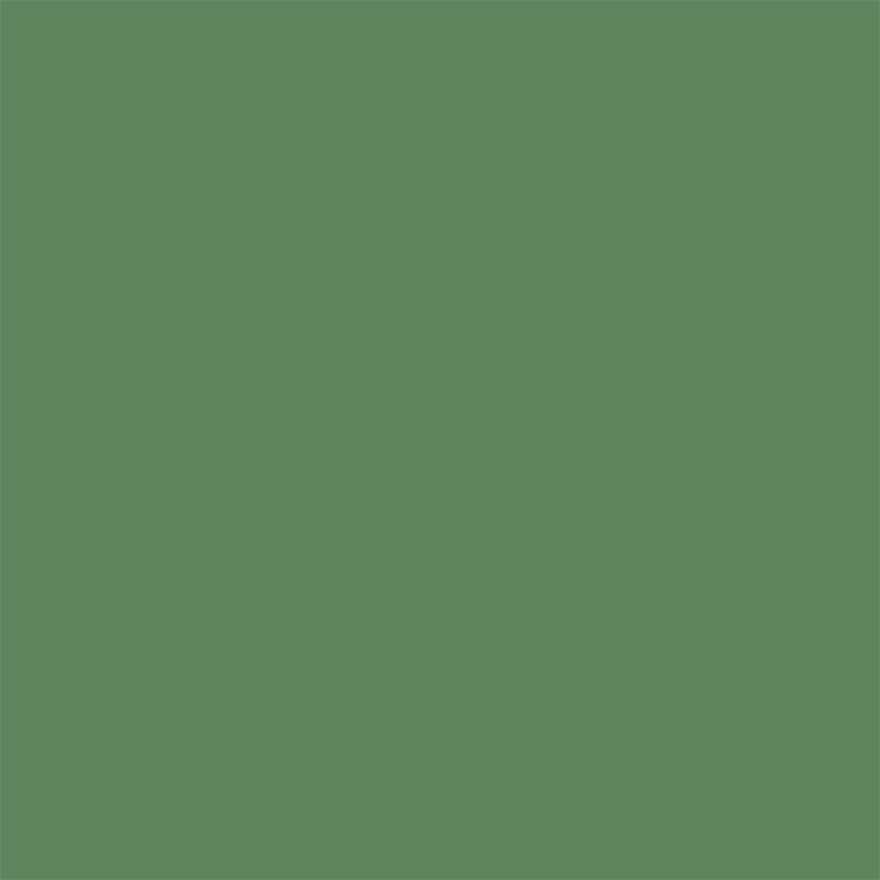 Colour swatch – Grove moss (#5e845e)