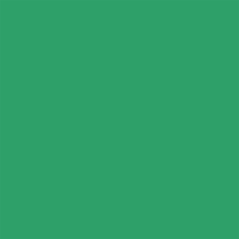 Colour swatch – Fresh Mint (#2DA26B)
