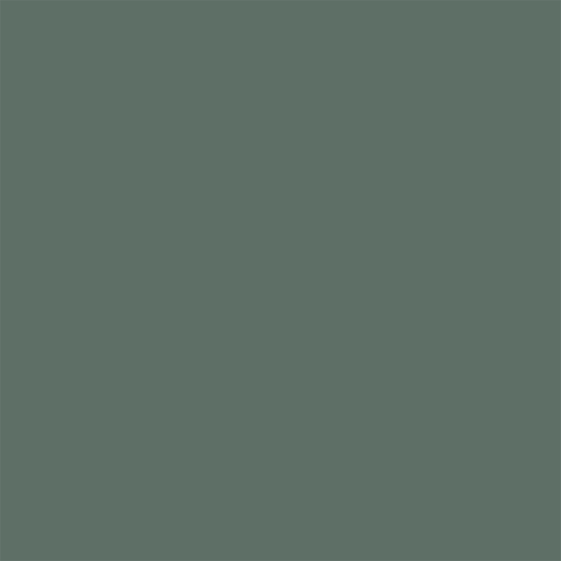 Willow Green botanical accent colour swatch