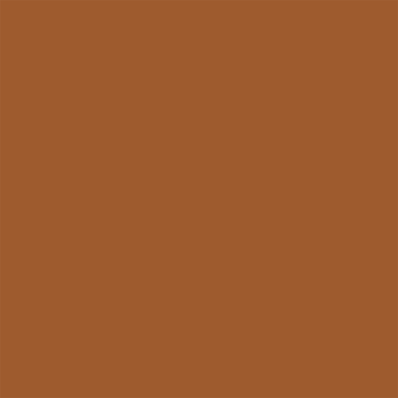 Clay Sienna warm accent colour swatch